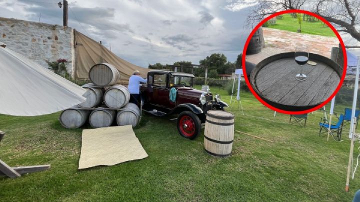 Así es la Vendimia en Tierra de Alonso: una experiencia que se vive con los cinco sentidos