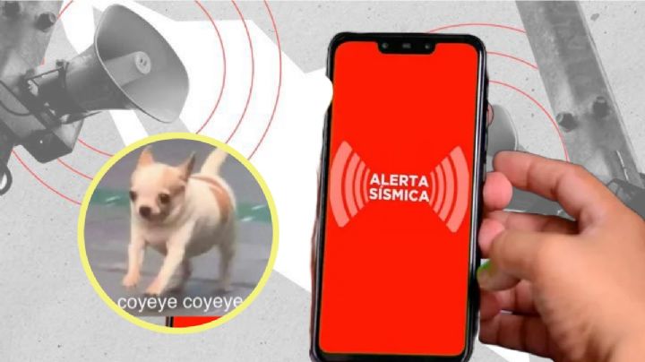La alerta sísmica en celulares no llegó, pero sí los mejores memes a las redes sociales
