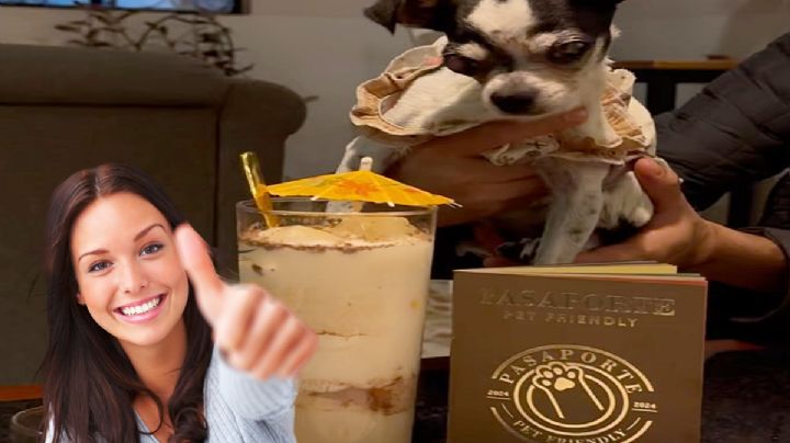 ¿Pasaporte para mascotas en Puebla? Así funciona