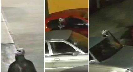 En menos de un minuto roban vehículo Tsuru en Pachuca: así pasó | VIDEO