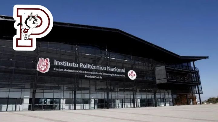 IPN Puebla: Regreso a clases se acerca, ¿qué debes saber sobre el inicio virtual?