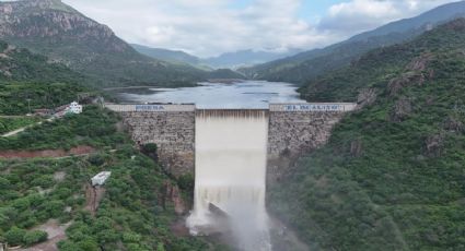 México ¿cuál es su calificación en desempeño ambiental?