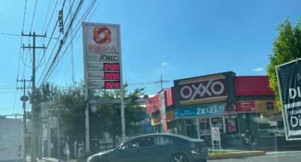 ¿Dónde venden la gasolina más cara en León?