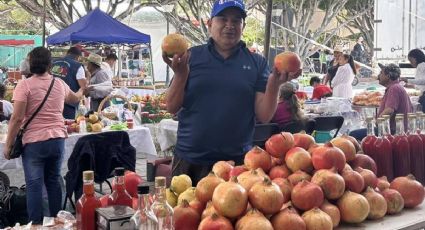 Apaseo el Alto cultiva granadas gigantes; pueden pesar hasta 1 kilo cada una