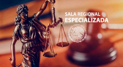 Importancia de la Sala Regional Especializada