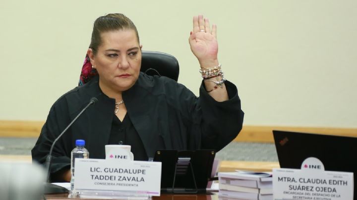 El gobierno no ha pedido los datos biométricos del padrón al INE, sostiene Taddei