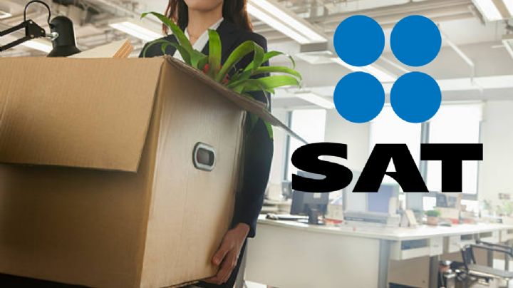 ¿Te vas a cambiar de domicilio? Esto es lo que debes hacer según el SAT