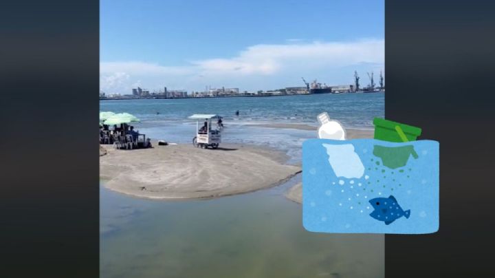 Tiktoker califica playas de Veracruz y Boca del Río: estas son las más sucias