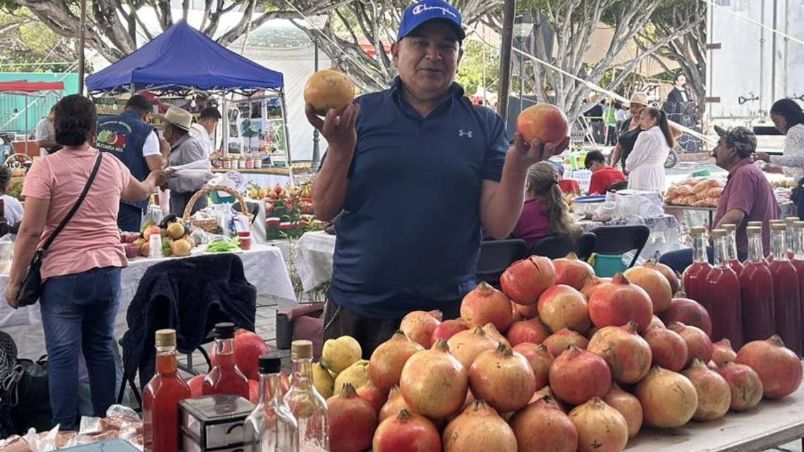 Celebran Feria de la Granada y la Pitahaya en Apaseo el Alto.