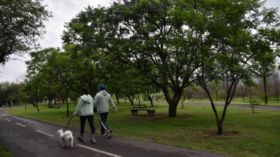 Es importante mencionar que, de acuerdo con la normatividad, un adulto mayor es una persona de 60 años en adelante.