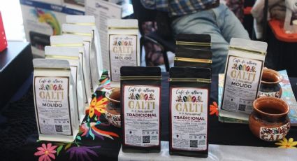 ¿Eres amante del café? No te pierdas Expo Café 2024 este fin de semana en Pachuca