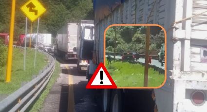 Vuelve el terror a Cumbres de Maltrata: graban robo de camioneta a familia