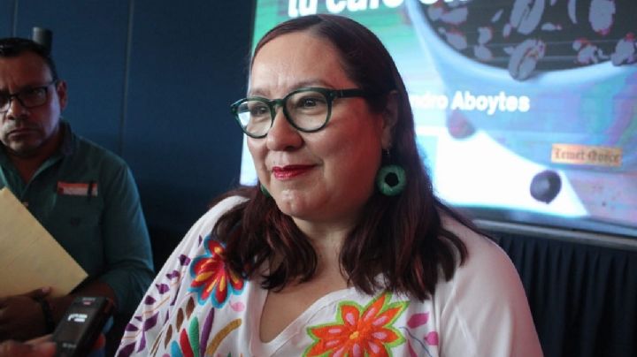 Reforma a Ley Orgánica de la UAEH debe analizarse, transparencia es obligatoria: Tania Meza