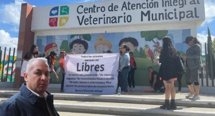 Tras señalamiento de maltrato animal en Pachuca, alcaldía trabajará con activistas: Sergio Baños