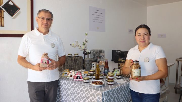 Hidalgo ocupa el primer lugar en comercio al menudeo; se mantiene así desde hace 6 meses