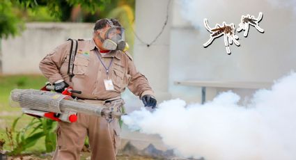 Dengue en México: Mosquito se expande a otros estados donde no había casos, alerta UNAM