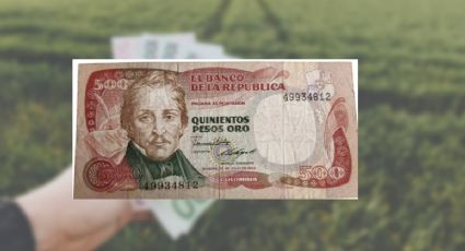 Así es el billete de 500 que pocos conocen y tienen; vale más de 20,000 pesos