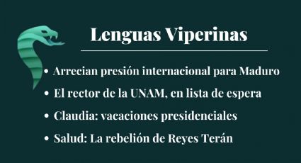 Lenguas Viperinas