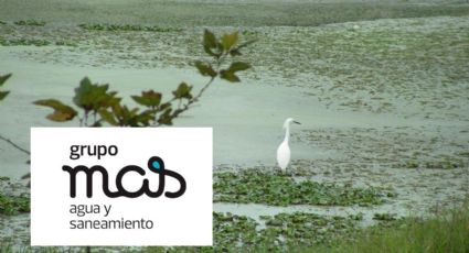 Grupo MAS se deslinda de mortandad de peces en laguna de Geo Pinos