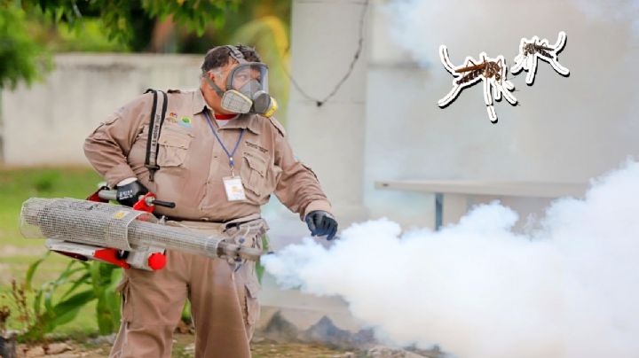 Dengue en México: Mosquito se expande a otros estados donde no había casos, alerta UNAM