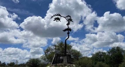 ¿Dónde rescataron la escultura “Árbol Rostro” del maestro Octavio Ocampo?