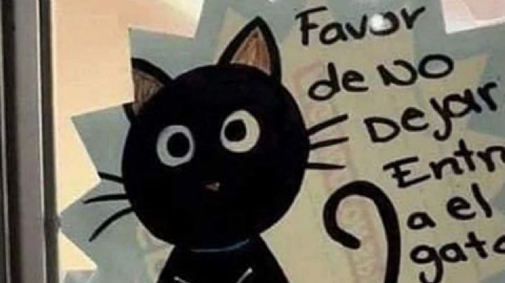 Prohíben entrada a gato deudor al OXXO por deber 450 pesos en croquetas