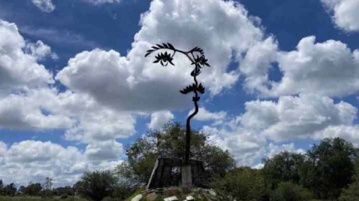 ¿Dónde rescataron la escultura “Árbol Rostro” del maestro Octavio Ocampo?