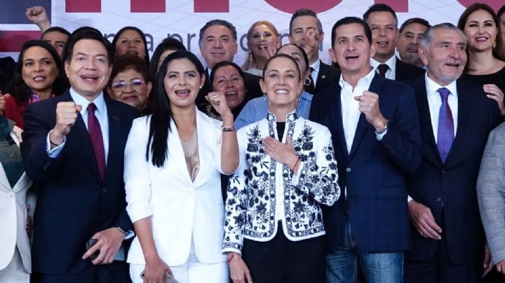 “Ya no hay partido, ¿quién nos habrá de expulsar?”: senadora que brincó a Morena