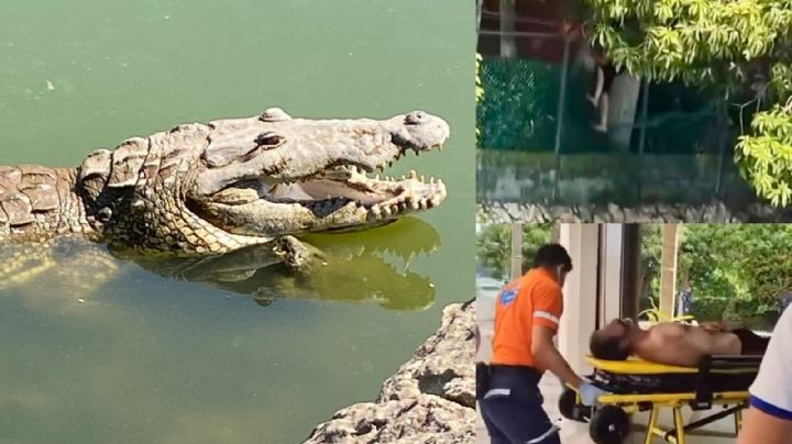 Hombre casi es devorado por cocodrilos en Tabasco | VIDEO