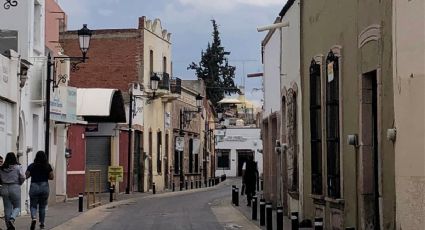 El gran y hermoso cedro blanco en el centro de León