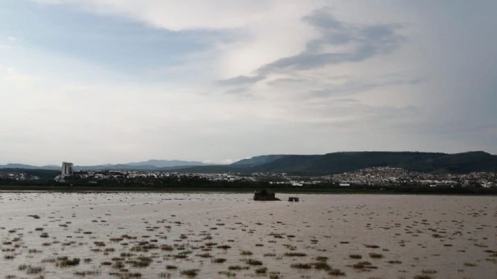 Se recupera presa de El Palote ya está al 20% de su capacidad