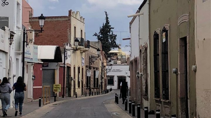El gran y hermoso cedro blanco en el centro de León
