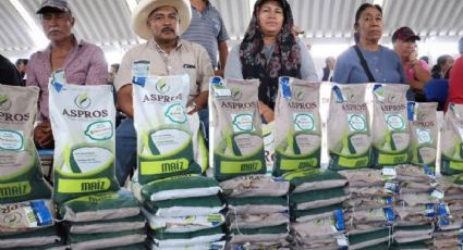 Distribuyen maíz, cebada y avena en estos municipios de Hidalgo