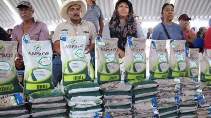 Distribuyen maíz, cebada y avena en estos municipios de Hidalgo