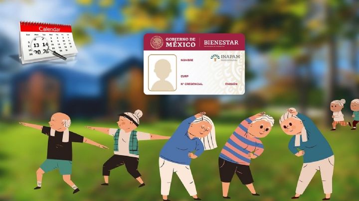 Tarjeta INAPAM: Estos son los descuentos que tendrán los adultos mayores por el Día del Abuelo