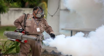 Dengue en Puebla: 1,233 casos registrados en 47 municipios