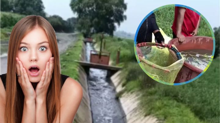 En canal de aguas negras, así enjuagan las verduras cosechadas en municipio de Hidalgo | VIDEO