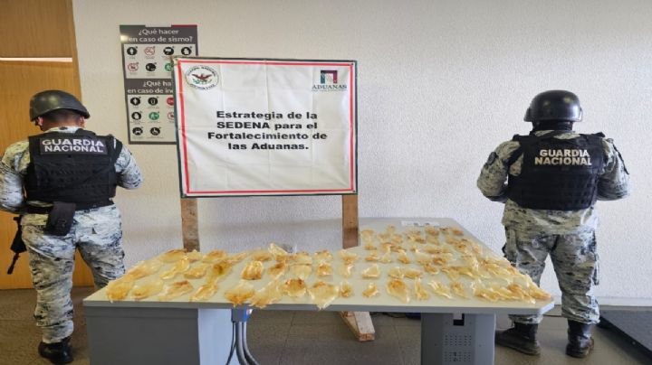 Guardia Nacional decomisa 75 buches de totoaba en Sonora; se venden por hasta 80,000 pesos