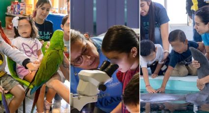 Vacaciones de verano en el Aquarium de Veracruz: Te dejamos costos, fechas y actividades