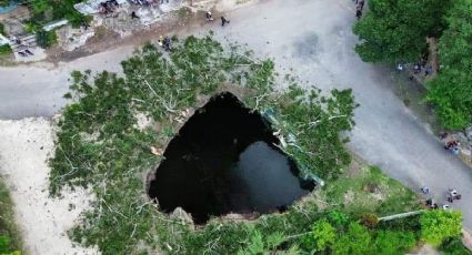 Cenote colapsa y se "traga" una ceiba en Valladolid, Yucatán