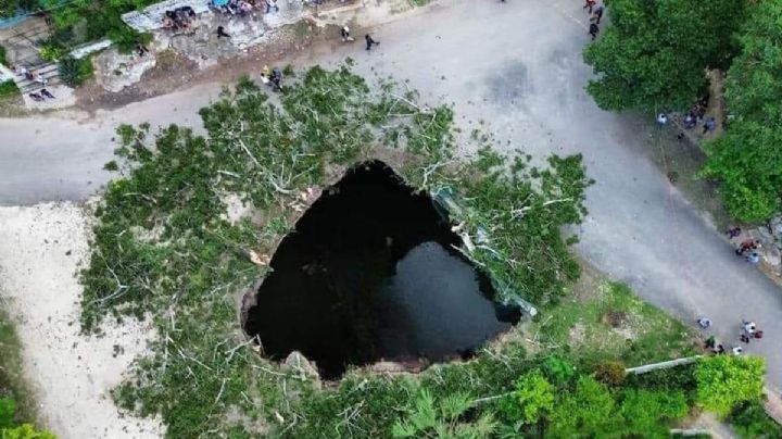 Cenote colapsa y se "traga" una ceiba en Valladolid, Yucatán