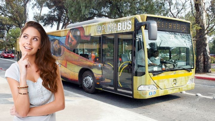 ¿Te quedaste en la UNAM? Esto es lo que debes saber del Pumabús
