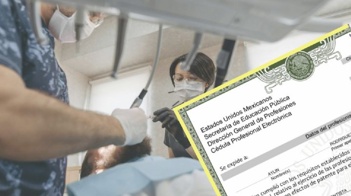 Estos son los profesionistas que se quedarían sin cédula profesional