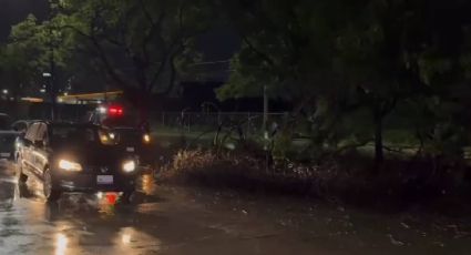 Se cayeron 15 árboles y postes tras el fuerte aguacero y granizada en la ciudad de León