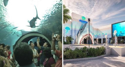 Te mostramos cómo quedará fachada de Aquarium de Veracruz tras remodelación