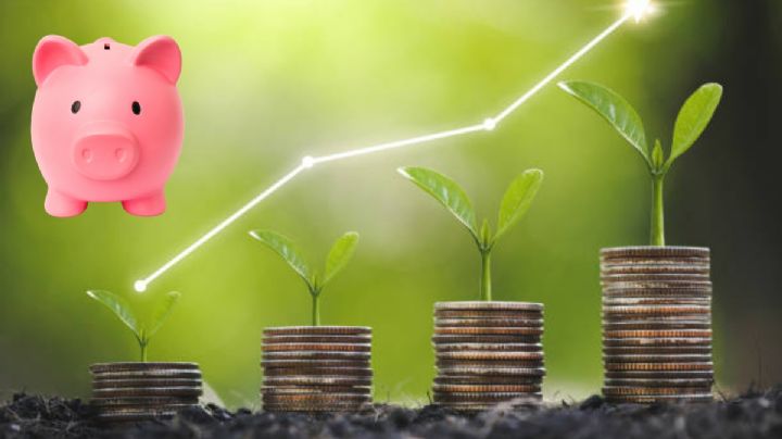 Así puedes tener un ahorro de emergencia en Cetes