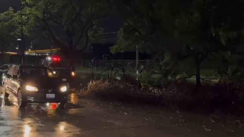 La fuerte tormenta tiró árboles, postes y provocó encharcamientos.
