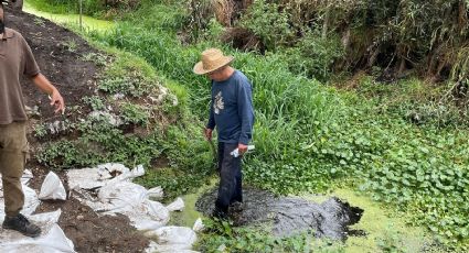 Xochimilco se seca; no hay agua en canales y la agricultura se desploma