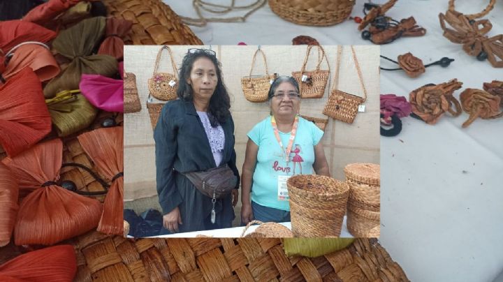 D-lirio-TUX: una alternativa en Los Tuxtlas para el manteamiento de la Reserva de la Biosfera 