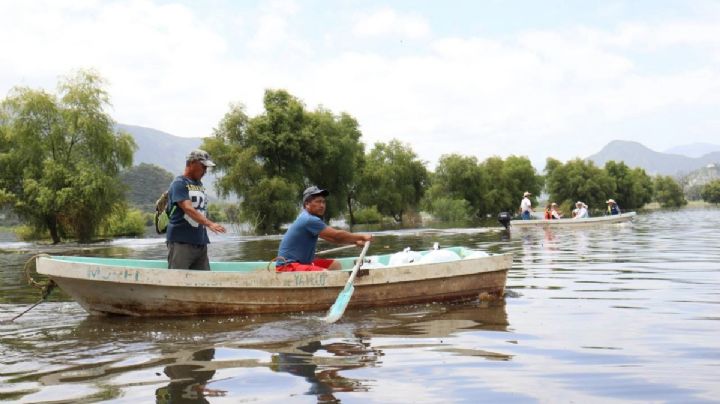 Se recupera producción pesquera en lagunas y presas de Hidalgo: Saderh